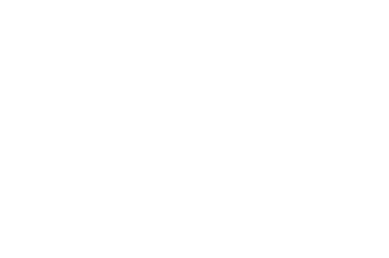 OFFICIAL SELECTION - Canadian International Faith  Family Film Festival - 2019 (1)